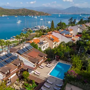 Daffodil *** Fethiye
